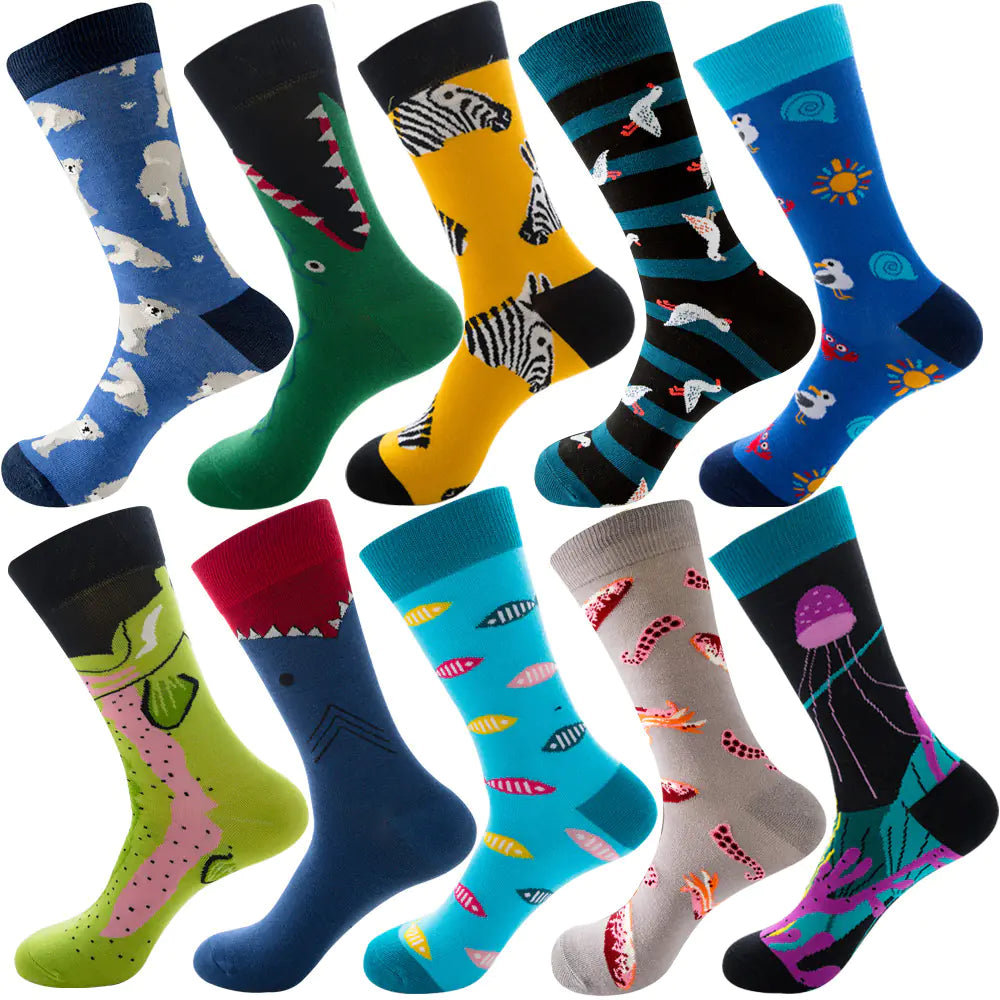 Ten color socks pack