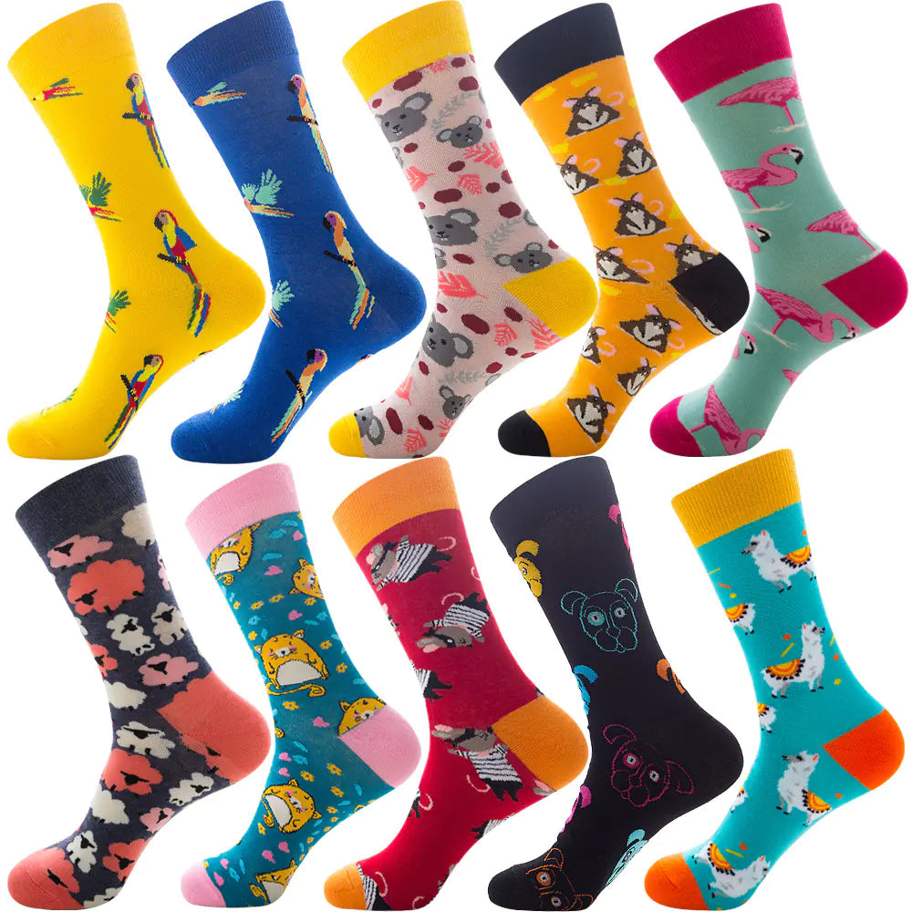 Ten color socks pack